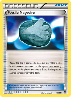 Fossile Nageoire 98