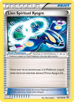 Lien Spirituel Kyogre 132
