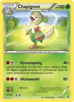 Chapignon 16