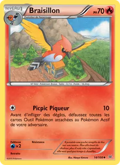 Braisillon 14