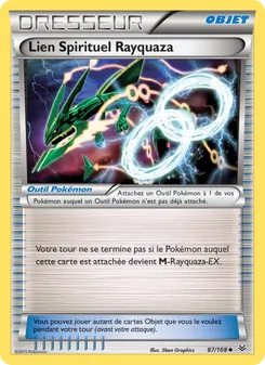 Lien Spirituel Rayquaza 87