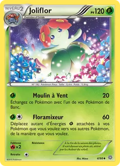 Joliflor 4