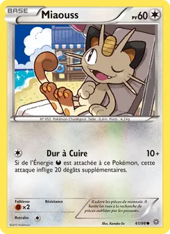 Miaouss 61
