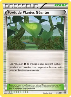 Forêt de Plantes Géantes 74