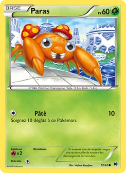 Paras 1