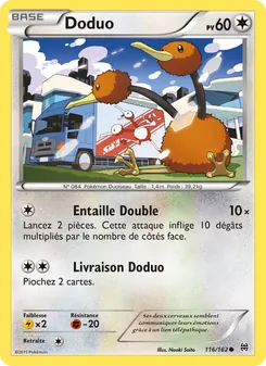 Doduo 116