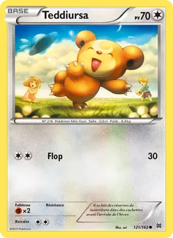 Teddiursa 121