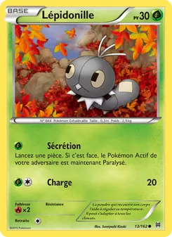 Lépidonille 13