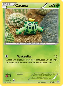 Cacnea 4