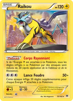 Raikou 55