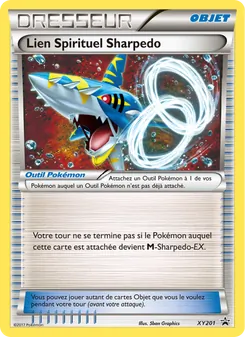 Lien Spirituel Sharpedo 201
