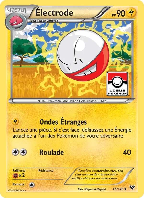 Électrode 45/146