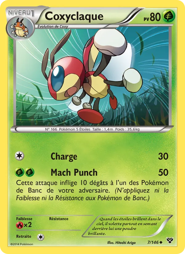 Coxyclaque 7/146