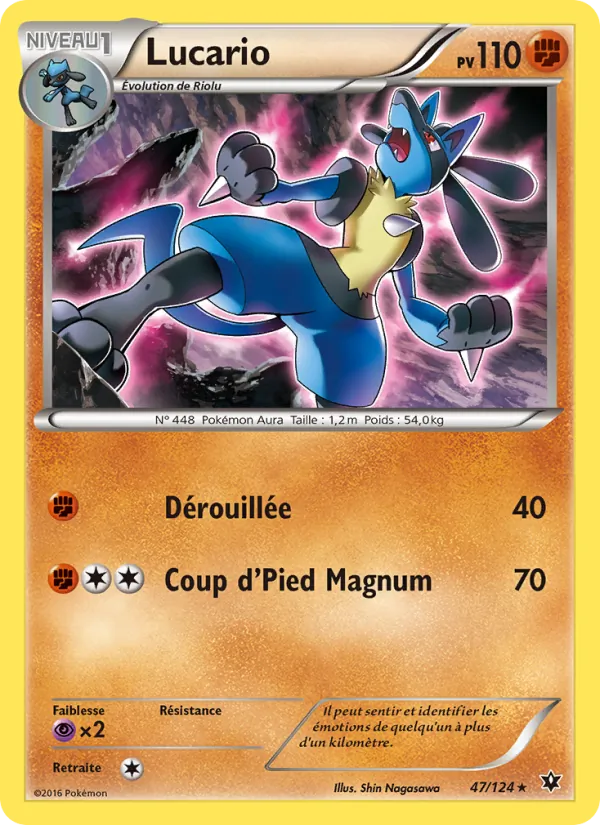 Lucario 47/124