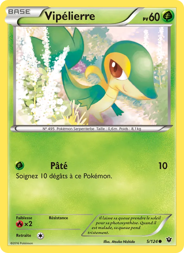Vipélierre 5/124
