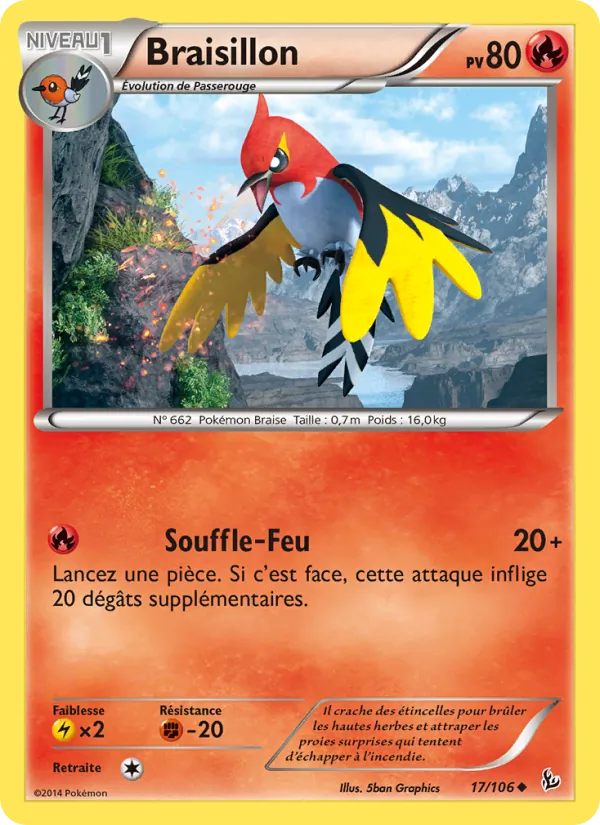 Braisillon 17/106