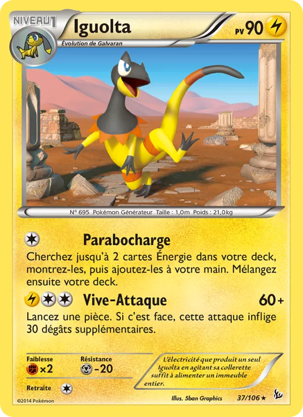 Iguolta 37/106