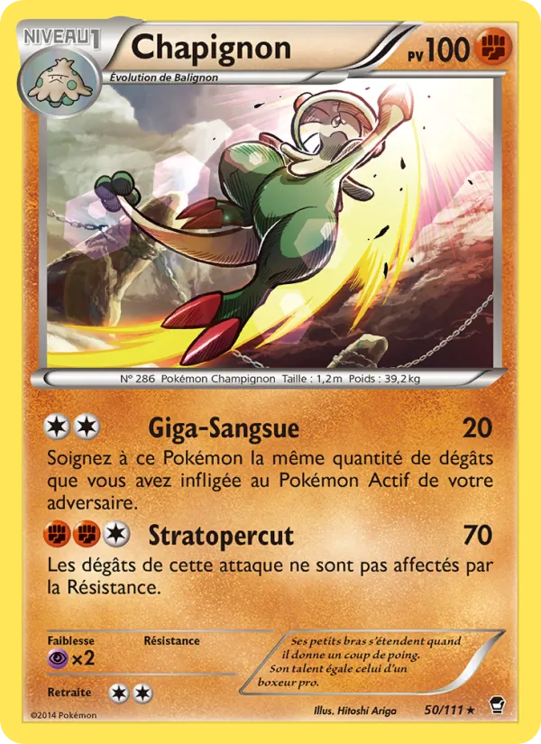 Chapignon 50/111
