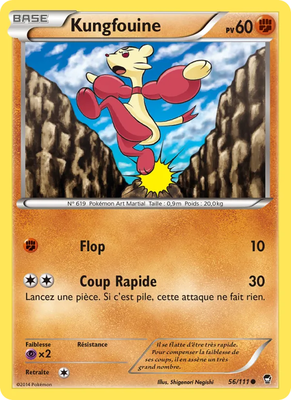 Kungfouine 56/111
