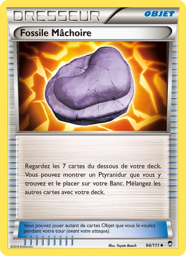 Fossile Mâchoire 94/111
