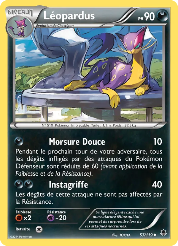 Léopardus 57/119