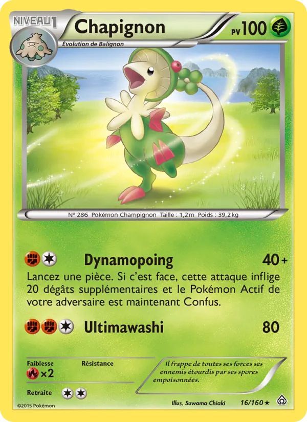 Chapignon 16/160
