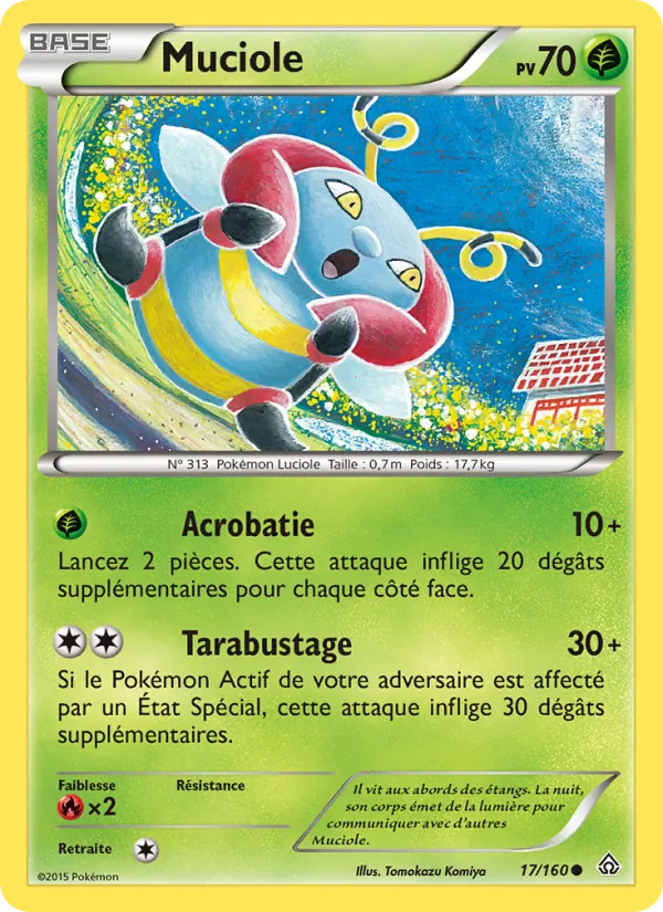 Muciole 17/160