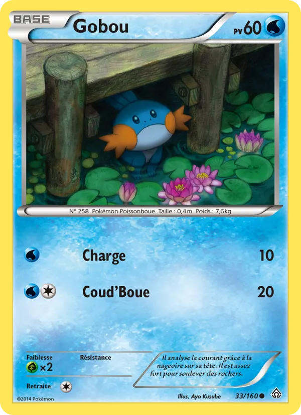 Gobou 33/160