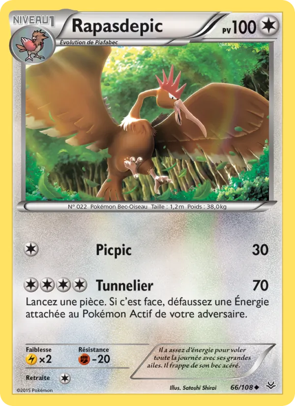 Rapasdepic 66/108