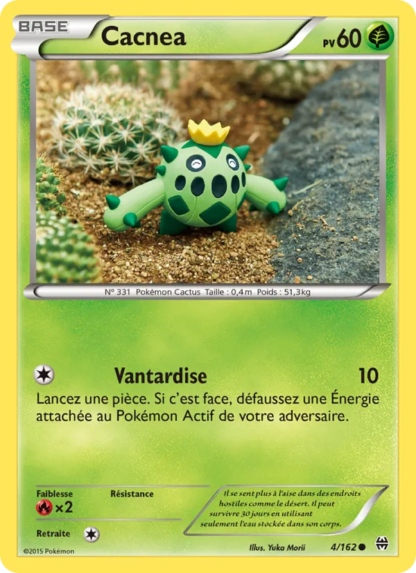 Cacnea 4/162