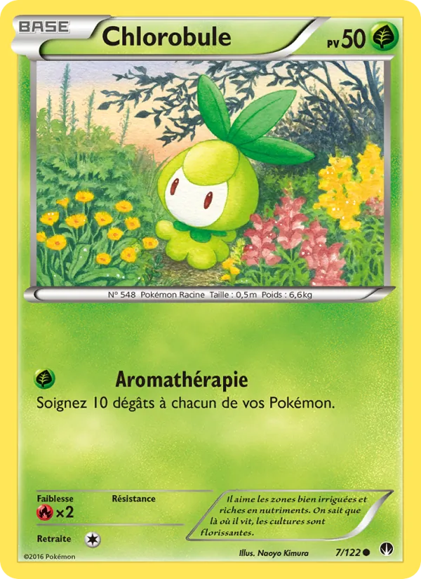 Chlorobule 7/122