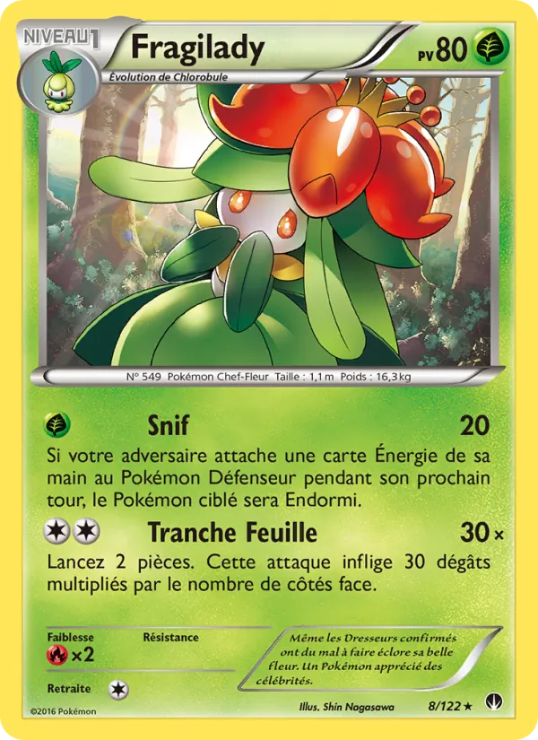 Fragilady 8/122