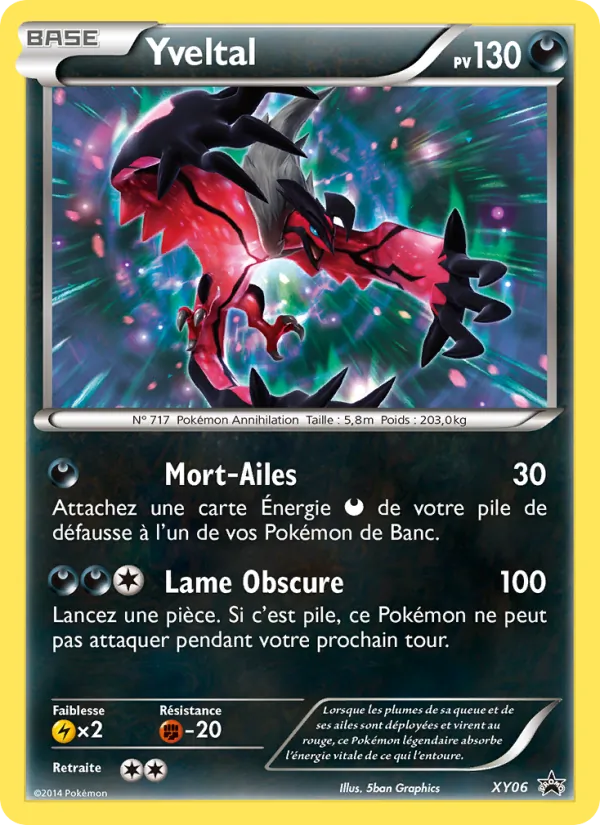 Xerneas XY06/211